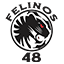 Escudo de Felinos 48