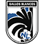 Escudo de Club de Fútbol Gallos Nuevo León