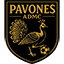 Escudo de PAVONES ADMC