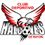 Escudo de Deportivo Halcones de Rayón Sub-16